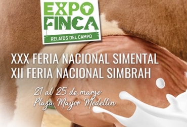 “Habrá juzgamiento en la pista del Pabellón Amarillo durante los días 22, 23, 24 y 25 de marzo de 2019”, dijo Filipo Rapaioli. Foto: facebook.com/Asosimmentalsimbrahcolombia Feria nacional simmental, feria nacional simbrah, animales de raza pura, juzgamiento de Simmental, remate de puros, remate de cabezal, CONtexto ganadero, noticias de ganadería colombiana.