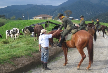 Temas como abigeato, secuestro, hurto, así como sanidad animal serán tratados en el evento. Foto: DICAR. Ganadería, ganadería colombia, noticias ganaderas, noticias ganaderas colombia, CONtexto ganadero, quindío, ganaderos del quindío, comité de ganaderos del quindío, conversatorio seguridad rural quindío, jorge tejada, seguridad ganadera quindío, seguridad rural quindío,
