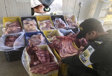 La carne estaría avaluada en más de $70 millones. Foto: @Region5Policia. Ganadería, ganadería colombia, noticias ganaderas, noticias ganaderas colombia, CONtexto ganadero, ciip, Arauca, Contrabando, Contrabando de ganado, Carne de contrabando, contrabando arauca, ICA, Polfa, Invima