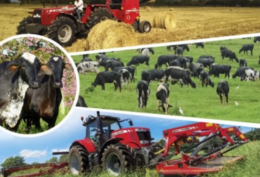 El mejoramiento bovino en el trópico y el efecto de la labranza son los temas a tratar en la gira de conferencia en el Caribe colombiano. Foto: Cortesía ganadería, ganadería colombia, noticias ganadera colombia, contexto ganadero, gira ganadera, evento, recorrido, valledupar, montería, monteria, magangué, magangue, barranquilla, fundación, fundación magdalena, sincelejo, brasil, invasa, mejoramiento genético, bovino, preparación suelo, suelo, comida, alimento, verano, biomasa, materia seca, genética, ganaderos, ganaderos Colombia