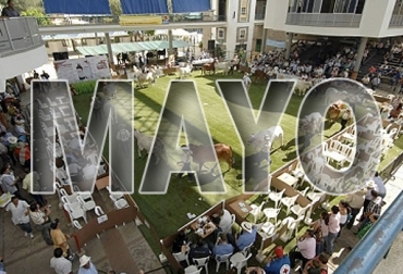 El quinto mes de 2019 tendrá importantes eventos académicos y feriales en todo el territorio nacional. Foto: Gente de Cañaveral Eventos ganaderos mayo 2019, cursos ganaderos, eventos ganaderos de 2019, ferias ganaderas de 2018, Ferias ganaderas Colombia mayo 2019, ferias ganaderas Colombia 2019, ferias ganaderas mayo 2019, ferias, Ferias Ganaderas, ferias Colombia, Eventos ganaderos, eventos ganaderos colombia, feria ganadera mayo 2019, CONtexto ganadero, ganaderos colombia, ganadería colombia, noticias ganaderas colombia