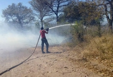 “Prevemos que los daños han sido de grandes dimensiones y de innumerables casos de muerte de bovinos”, dijo Fadrique Rincones. Foto: La Guajira Hoy.com Incendios en La Guajira, habría una gran mortandad de bovinos, ganaderías se habían instalado en montañas incendiadas, el fuego esta fuera de control, calamidad pública en La Guajira, extensión del fuego, la brisa aviva las llamas, presencia del ELN, frontera con Venezuela, represa de Ranchería, CONtexto ganadero, noticias de ganadería colombiana.