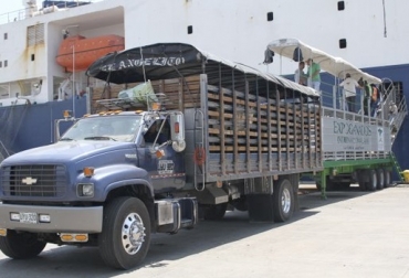 “Bovinos vivos cumplieron todos los requisitos sanitarios exigidos por los compradores libaneses”, dijo Miguel Dulcey. Foto: El Universal Reinician exportaciones de ganado al Líbano, negociaciones congeladas, situación sanitaria, ganado vivo, negociación FOB, mercancía puesta en buque, Expoganados, logro comercial, confianza en ganado colombiano, CONtexto ganadero, noticias de ganadería colombiana.