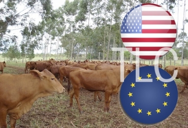 “Los TLC sacarán del mercado a los productores que no sean competitivos”, dijo Ramiro Camacho. Foto: Fedegán - Very Icon - imserso.es Por TLC con EE.UU. y UE desaparecería 53 % de la ganadería, saldrán los dedicados a doble propósito, productores no competitivos, disminuir producción, dar paso a importaciones, ordenamiento sector lácteo, industria pulverice, CONtexto ganadero, noticias de ganadería colombiana.