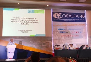 “La Gestión de Fedegán-FNG recibió comentarios muy favorables de parte de varios representantes de otros países”, dijo Carlos Osorio. Foto: Cortesía. Gestión público privada de Fedegán-FNG, libre de aftosa con vacunación, pre Cosalfa, gestión Fedegán y FNG e ICA, rompimiento del trabajo articulado, expulsaron equipo técnico, periodo del ministerio de Agricultura presentó focos, Fedegán vuelve como administrador, calidad cifras, alianza Dane, CONtexto ganadero, noticias de ganadería colombiana.