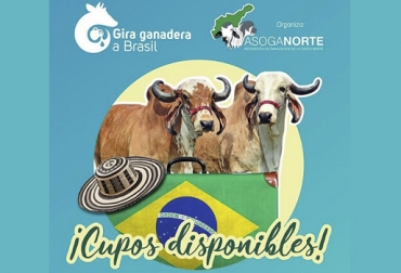 La gira ganadera de Asoganorte a Brasil recorrerá gran parte de los estados de Minas Gerais y São Paulo, visitando las producciones pecuarias más destacadas. Foto: @asoganorte Gira ganadera Brasil Asoganorte, Gira ganadera Brasil Asoganorte 2019, Asoganorte 2019, gira ganadera Asoganorte, gira ganadera Brasil, ganadería Brasil, recorrido ganadería Brasil, gira ganadería Brasil, gira técnica ganadera Asoganorte, Eventos Asoganorte 2019, ganaderos Caribe 2019, ganaderos Caribe Colombia, CONtexto ganadero, ganaderos colombia, noticias ganaderas de colombia