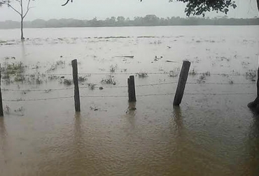 Se están presentando desbordamientos de ríos en Caquetá por fuerte lluvias. Foto: Lente Regional ganadería, ganadería colombia, noticias ganadera colombia, contexto ganadero, precipitaciones, precio leche, costos leche, leche, lluvias, invierno, verano, bajo precio leche, alto precio leche, igual precio leche, ganado, ganaderos, ganaderos Colombia, precio leche caqueta, desbordamientos ríos, ríos, encharcamientos, precipitaciones, inundaciones