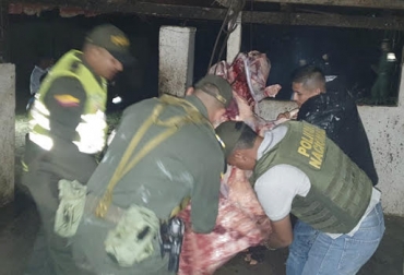 Se encontraron 324 kg de carne avaluados comercialmente en $7 millones", señaló el Capitán Rojas. Foto: hoydiariodelmagdalena.com.co ganadería, ganadería colombia, noticias ganadera colombia, contexto ganadero, mataedro clandestino, matadero, clandestino, polfa, policía nacional, trochas, plantas de sacrificio, muerte ganado, desmantelacion mataderos clandestinos, contrabando, abigeato, ganado, ganaderos, ganaderos Colombia