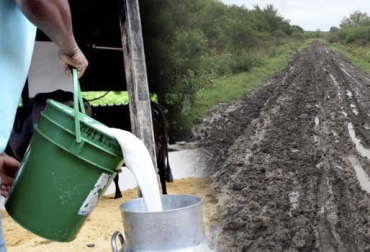 El precio de la leche no ha sufriedo cambios en los últimos meses en Colombia. Foto: Vanguardia Liberal - entremediosweb.com Ganadería, ganadería colombia, noticias ganadera colombia, CONtexto ganadero, Precipitaciones, precio leche, costos leche, leche, Lluvias, invierno, Verano, bajo precio leche, alto precio leche, igual precio leche, ganado, ganaderos, ganaderos colombia