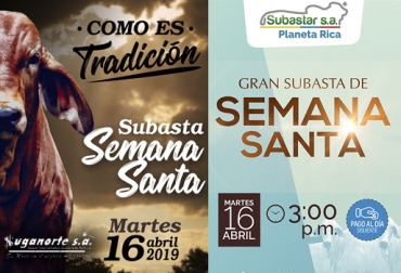 Suganorte y Subastar modificaron sus subastas tradicionales debido a los festivos de Semana Santa. Del miércoles y el viernes las pasaron para el martes. Foto: Suganorte / Subastar subastas, subastas ganaderas, venta de ganado, precio ganado, subastas ganaderas Colombia, subastas Semana Santa, subastas ganaderas Colombia semana santa, Semana Santa, precios del ganado en Colombia, precios de ganado bovino, formalización sector ganadero, formalización ganaderos Colombia, comercialización ganado Colombia, subasta de ganado en colombia, Ganadería, ganadería colombia, noticias ganaderas, noticias ganaderas colombia, CONtexto ganadero