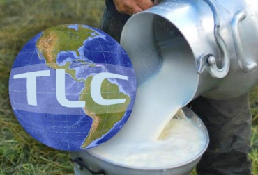 Los ganaderos del Quindío le piden al gobierno que no siga firmando tratados de libre comercio porque se ve afectada su productividad. Foto: APYMEL - ecos1360.com Ganadería, ganadería colombia, noticias ganadera colombia, CONtexto ganadero, Precipitaciones, precio leche, costos leche, leche, Lluvias, invierno, Verano, bajo precio leche, alto precio leche, igual precio leche, rentabilidad ganadero, denominación de origen, tratado libre comercio, TLC, empresas productoras leche, pequeños productores, informalidad, formalidad, eficiencia productiva, capacidades de carga, mejoramiento genético, ganado, ganaderos, ganaderos colombia