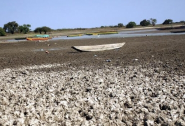 Falta de lluvias durante un período prolongado de tiempo produce enfermedad en los animales e incluso puede causarlas la muerte. Foto: El Universal Sequía, mortalidad, animal salud, escases, comida, Bolívar, presidente, ministerio, ministerio de agricultura, importante, graves, mitigación, mitigaría, potencializado, vendiendo, casi, mitad, precio, melaza, mezclagán, compra, potencial, capacidad, ayudando, población, presidente, problema, brindar, apoyo, necesitan, llamado, dar, CONtexto ganadero, ganaderos Colombia, noticias ganaderas Colombia