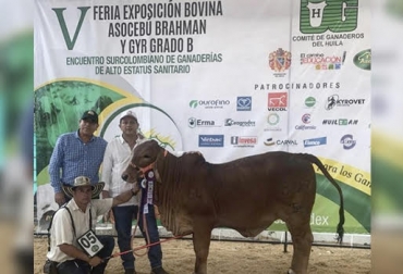 Los eventos permiten compartir experiencias y beneficios de propuestas que se desarrollan en las regiones y pueden aportar a otras. Foto: Insta Stalker Huila, evento, expectativas, calidad, ejemplares, buenos comentarios, razas, Brahman, Gyr, recinto, ferial, atrajo, participantes, considerando, propuestas, interesantes, trabajo, realizado, niños, stand, especial, consumo, leche, avalado, pasteurizadora, regional, financió, patrocinó, programa, Expo, Agro, Huila, 2019, comité, ganadero, ganaderos, ganado , , CONtexto ganadero, ganaderos Colombia, noticias ganaderas Colombia