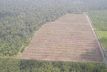 La sequía extendida es un efecto que muestra el gran impacto del cambio ambiental que se ha generado por el no cuidado del ambiente por los humanos. Foto: Mercados de Medio Ambiente. temas, interesantes, proyecto, desarrollando, Colombia, Magdalena Medio, zonas, pequeños productores, ganaderos, Ganadería, créditos a toda maáquina, Foro, gratís, inseminaciones, impactar, clúster cárnico, Comité, sistema de pujas, precios, nivel nacional, regiones, cebador, criador, ceba, poco personal, costos adicionales CONtexto ganadero, ganaderos colombia, noticias ganaderas colombia