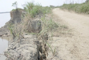 Los habitantes de Morales temen una tragedia por falta de mantenimiento en las murallas que cubren la isla. Foto: eluniversal.com.co Ganadería, ganadería colombia, Ganadería colombiana, CONtexto ganadero, noticias ganaderas, protesta en morales, morales quiere evitar una tragedia, ganaderos de morales preocupados, Morales, Bolívar, ganaderos bolívar preocupados, falta de intervención diques, diques sin mantenimiento en morales, ganaderos morales atemorizados falta arreglo diques, ganaderos colombia, tragedia en morales, ganaderos colombianos