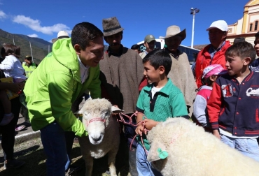 La administración apoyará a 3 productores que deseen participar en el evento ferial. Foto: Gobernación de Boyacá. Ganadería, ganadería colombia, noticias ganaderas, noticias ganaderas colombia, CONtexto ganadero, agroexpo, agroexpo 2019, boyacá, productores ovinos de boyacá, productores caprinos de boyacá, gobernación de boyacá, apoyo producción ovina boyacá,