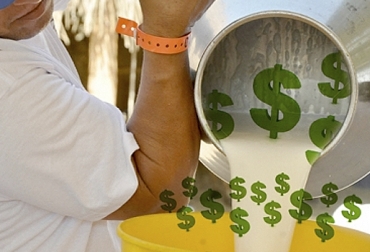 Productores lecheros piden que se industrialice la región para que puedan comercializar sus productos sin inconvenientes y a un mejor precio.Foto: elpilon.com.co Leche, precio, 800, Aganar, Urabá, Antioquia, municipios, departamento, comité de ganaderos departamentales, precios, establecidos, sector lechero, 10 años, región, litros, empresarios, Fedegán, política, producción masiva, intensificar, Gobierno, Federación, apoyo, establecer, programas, claros, ayuden, modernizar fincas, métodos, estabulados, silvopastoril, CONtexto ganadero, ganaderos Colombia, noticias ganaderas Colombia