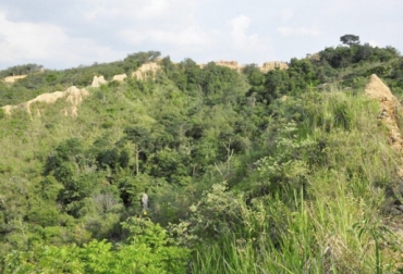 Con las reservas naturales de la sociedad civil se pretende incrementar el sistema nacional de áreas protegidas del país. Foto: runap.parquesnacionales.gov.co Reserva natural de la sociedad civil, Caquetá, produciendo, %, finca, capacidad, liberar, áreas, concentrar, zonas, aptas, ganadería, ganadero, tropical, sistemas, silvopastoriles, caso, Esmeraldas, Villa Mery, labor, Fedegán, organización, organizaciones internacionales, CIPAV, organizaciones nacionales, conservación, no deforestación, cuidado del medio ambiente, gobernanza, patrimonio natural, CONtexto ganadero, ganaderos Colombia, noticias ganaderas Colombia