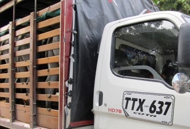Los delincuentes asaltaron a más de 20 productores de la región. Foto: Diario del Huila. Ganadería, ganadería colombia, noticias ganaderas, noticias ganaderas colombia, CONtexto ganadero, Abigeato, bandas delincuenciales, los sabaneros, banda los sabaneros, inseguridad en cundinamarca, Fiscalía, Policía, alias flaco
