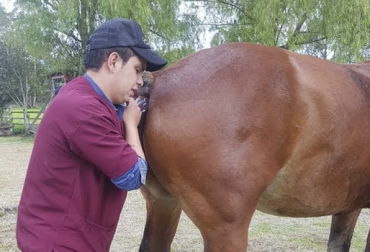 Luis Felipe Rojas se ha convertido en un especialista en reproducción bovina. Aquí se ve haciendo una palpación a una vaca. Foto: Cortesía Estudiante medicina veterinaria Boyacá, Palpación rectal, servicios de medicina veterinaria en ganadería, médico veterinaria ganadería, estudiante ganadería, Estudiante Palpación Rectal, Ganadero Saboyá Boyacá, José Rafael Rojas, crónica ganadero Boyacá, producción de un ganadero Boyacá, Círculos de excelencia ganaderos, CONtexto ganadero, ganaderos colombia, noticias ganaderas colombia