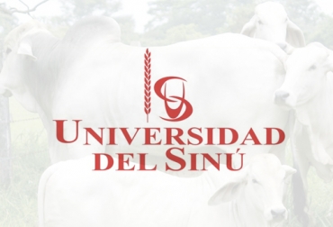 El nuevo decano de la Facultad de Ciencias Económicas de la Universidad del Sinú es el ganadero Paul Rodríguez. Foto: unisinu.edu.co - agroneto.com Paul Rodríguez, Universidad del Sinú, Facultad de Ciencias Económicas, Administrativas y Contables, Ganadería El Rosario, clúster cárnico del Caribe, ganadería córdoba, PEGA Fedegán, Pega 2018-2022, Plan Estratégico de la Ganadería, Academia ganadería, ganadería investigación académica, CONtexto ganadero, ganaderos colombia, noticias ganaderas colombia