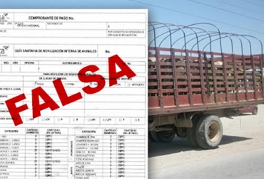 Con guías falsas de movilización, delincuentes transportaron ganado robado del Cesar hasta Medellín. Foto: Gobernación del Cesar - ica.gov.co Ganadería, ganadería colombia, Ganadería colombiana, CONtexto ganadero, noticias ganaderas, abigeato Cesar, abigeato la guajira, guías movilización, guias movilizacion falsas, ICA, robo animales cesar, robo animales la guajira, robo de animales, aumento abigeato, no apoyo autoridades abigeato, ley del abigeato, afectados abigeato, ganaderos preocupados inseguridad, inseguridad cesar, inseguridad la guajira, ganaderos guajiros, ganaderos Cesar