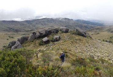 La iniciativa busca intervenir 400 hectáreas del Páramo de Rabanal. Foto: Gobernación de Boyacá. Ganadería, ganadería colombia, noticias ganaderas, noticias ganaderas colombia, CONtexto ganadero, páramos, páramos boyacá, páramo de rabanal, gobernación de boyacá, Secretaría de Medio Ambiente y Desarrollo Sostenible, director de Gestión del Recurso Hídrico y Saneamiento Básico de Boyacá Giovanny Viasus, uptc, universidad tecnológica y pedagógica de colombia,
