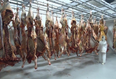 Son 3 los mataderos autorizados para sacrificio de animales en Santander. Foto: bucaramanga.extra.com.co Ganadería, ganadería colombia, Ganadería colombiana, CONtexto ganadero, noticias ganaderas, noticias ganaderas colombia, frigorífico, frigorifico santander, mataderos santander, decreto 1500, mataderos ilegales, mataderos clandestinos santander, plan racionalizacion santander, ganaderos santander, ganaderos, vacas, ganaderos colombia