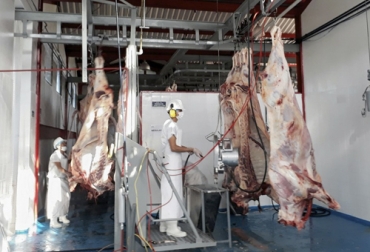El Comité Regional de Ganaderos de Yopal, Casanar, quiere trabajar con el frigorífico de Tauramena. Foto: @CeibaEice preocupación, proyecto, frigoríficos, Plantas de sacrificio, Yopal, tauramena, departamentos, explorar mercados, nuevos mercados, región, ganados, ganaderos, situación, nuevos puntos de venta, generar valor agregado a los ganados, comercializar, comercializadora, carne, CONtexto ganadero, ganaderos colombia, noticias ganaderas colombia