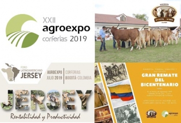 La mayoría de eventos se concentran naturalmente en la edición XXII de Agroexpo en Corferias en Bogotá. Foto: agroexpo.com - asojersey.com - picbear.org - asosimmental.org Eventos ganaderos en Agroexpo, Ganadería, ganadería colombia, noticias ganaderas, noticias ganaderas colombia, CONtexto ganadero, Agroexpo, Agroexpo 2019, Agroexpo Bogotá, ferias, Ferias Ganaderas, feria agroexpo, Corferias, Eventos ganaderos, ministro Andrés Valencia, Ministro Agricultura, presidente ejecutivo Corferias