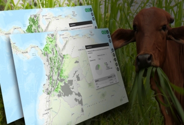 El Sipra confirma que departamentos como Vichada, Meta, Antioquia y Casanare son los más aptos para producir carne y leche bovina en pastoreo. Foto: sipra.upra.gov.co - ganaderiacolombianasostenible.co UPRA, Sipra, Sistema para la Planificación Rural Agropecuaria, aptitud para carne bovina Colombia, aptitud para leche bovina Colombia, Uso suelo ganadería, uso suelo ganadería Fedegán, uso suelo ganadería UPRA, Unidad de Planificación Rural, plan de ordenamiento productivo, plan de ordenamiento social, uso del suelo, ganadería extensiva, distribución del suelo, CONtexto ganadero, ganaderos colombia, noticias ganaderas colombia