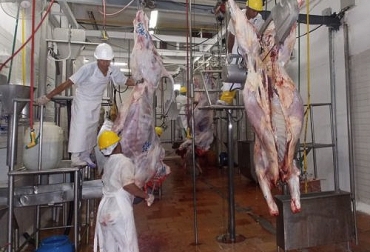 Según funcionarios que han implementado el Decreto 1500, los aportes de la Gobernación de Caldas a las plantas municipales no alcanza a cubrir el costo de las adecuaciones. Foto: lanacion.com.co Caldas decreto 1500 2019, plan racionalización Caldas, decreto 1500 invima, Caldas decreto 1500, estatus plantas de beneficio Caldas 2019, plantas de sacrificio 2019, Gobernación de Caldas, Estatus de las plantas de sacrificio de Caldas, decreto 1500, Invima, Instituto de Vigilancia de Medicamentos y Alimentos, plantas de sacrificio Caldas, mataderos Caldas, CONtexto ganadero, ganaderos colombia, noticias ganaderas colombia