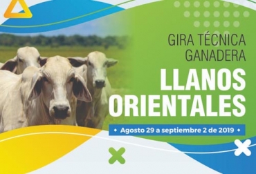 Aproveche de esta única oportunidad y participe del completo recorrido por las mejores ganaderías del Meta. Foto: Cortesía Gira ganadera 2019, gira técnica ganadera Llanos Orientales agosto 2019, gira ganadera Llanos Orientales, Eventos ganaderos, gira técnica ganadera, gira técnica, gira ganadera Meta, gira técnica ganadera periódico el agro, Ganadería permacultura, ganadería permacultural, permacultura, fincas ganaderas Meta, fincas ganaderas Llanos Orientales, CONtexto ganadero, ganaderos colombia, noticias ganaderas colombia