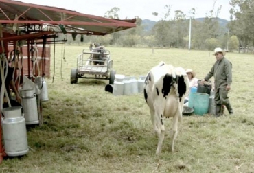 Coocampo es una cooperativa creada hace 6 años que cuenta con 350 asociados ubicados en Chiquinquirá y Briceño en Boyacá. Foto: Selvanegra Productores Boyacá, productores Coocampo Boyacá 2019, ganaderos Boyacá Coocampo 20197, proyectos ganaderos Coocampo Boyacá 2019, lechería, asociatividad, Acopio de leche, leche Colombia, fedegan, ordeño, Ganadería, ganado bovino, Coocampo, Colombia, Canadá, Fincomercio, Asociación Canadiense de Cooperativas (ACC), proyecto Impact, Incubadora Empresarial Colombia Solidaria Gestando, CONtexto ganadero, ganadería colombia, noticias ganaderas colombia