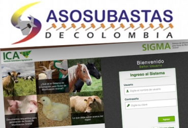 El gremio de las subastas ganaderas busca impulsar la expedición de guías de movilización a través de Internet. Foto: Asosubastas - sigma.ica.gov.co Asosubastas, Asociación de Subastas Ganaderas, Guía Internet, guía movilización Internet, Ganadería, ganadería colombia, noticias ganaderas, noticias ganaderas colombia, CONtexto ganadero, Guías de Movilización, expedición de guías de movilización en línea, guías en línea, ICA, ica colombia, guías ica, trámites en línea, Ministerio de Agricultura, Instituto Colombiano Agropecuario