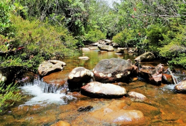 Más de $25 mil millones se han invertido en la protección de las cuencas hídricas. Foto: Corantioquia. Ganadería, ganadería colombia, noticias ganaderas, noticias ganaderas colombia, CONtexto ganadero, Recursos Hídricos, recursos hídricos en antioquia, Agua, Cuidado del agua, corantioaquia, Pomca, porh, planes protección recurso hídrico