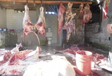 El sacrificio ilegal de bovinos es un tema que sigue preocupando al sector ganadero de Caquetá. Foto: florencianos.com sacrificio ilegal en Caquetá, sacrificio calndstino en Caquetá, sacrificio de bovinos en Caquetá, consumo de carne en Caquetá