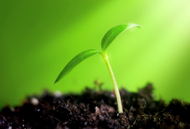 La iniciativa, liderada por la CVC, busca que los niños se involucren en el cuidado del suelo y medio ambiente. Foto: fermofeed.com. Ganadería, ganadería colombia, noticias ganaderas, noticias ganaderas colombia, CONtexto ganadero, Proyecto Ambiental Escolar del Colegio Agropecuario Alaska, Buga, Ruth Nubia González Ramírez, ingeniera ambiental de la Corporación Autónoma Regional del Valle del Cauca, CVC, suelos, bosque natural, guaduales, melaza, fécula de maíz, producir alimentos, amortiguar desastres ambientales, biodiversidad