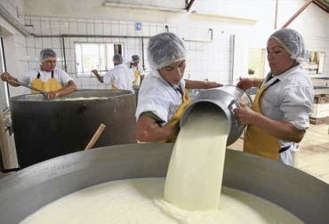 Además de las pruebas de calidad de leche ordenadas por el agente acopiador, los asociados de Coocampo solicitan otros estudios con muestras individuales. Foto: periodicoeldiario.com Calidad leche ganaderos Boyacá, productores leche Boyacá, Coocampo, productores Coocampo Boyacá 2019, ganaderos Boyacá Coocampo 2019, productores Coocampo 2019, productores Chiquinquirá Coocampo 2019, precio leche, calidad leche, calidad higiénica leche, calidad sanitaria leche, proyecto Impact, proyectos ganaderos Coocampo Boyacá 2019, CONtexto ganadero, ganaderos colombia, noticias ganaderas colombia