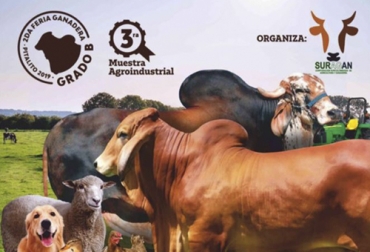 La segunda feria ganadera es organizada por la Corporación Surcolombiana de Agricultura y Ganadería en Pitalito (Huila). Foto: Cortesía Feria Pitalito Huila, feria ganadera Pitalito 2019, segunda feria ganadera grado b Pitalito Huila 2019, Eventos ganaderos septiembre 2019, cursos ganaderos, eventos ganaderos de 2019, ferias ganaderas de 2019, Ferias ganaderas Colombia septiembre 2019, ferias ganaderas Colombia 2019, ferias ganaderas septiembre 2019, ferias, Ferias Ganaderas, ferias Colombia, Eventos ganaderos, eventos ganaderos colombia, CONtexto ganadero, ganaderos colombia, ganadería colombia, noticias ganaderas colombia