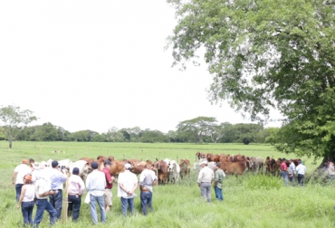 70 ganaderos extranjeros participaron en Córdoba Sin Fronteras Internacional. Foto: Subastar Córdoba Sin Fronteras Internacional, evento ganadero, evento ganadero Córdoba, Gira ganadera, ganaderos extranjeros visitan Colombia