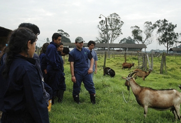 Para generar un mejor vínculo entre los programas de zootecnia, se busca crear la asociación nacional de estudiantes de este programa. Foto: agenciadenoticias.unal.edu.co Estudiantes Zootecnia, Asociación Colombiana de Estudiantes de Zootecnia, programas zootecnia Colombia, zootecnia colombia, panorama de las carreras agropecuarias en Colombia, Ministerio de Educación de Colombia, carreras agropecuarias, universidades zootecnia, programa zootecnia, ganadería, ganadería colombia, CONtexto ganadero, ganaderos Colombia, noticias ganaderas Colombia