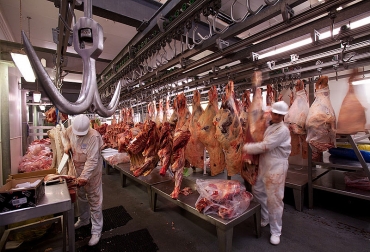 El proyecto mejorará la calidad de la carne que se consume en el departamento. Foto: Agencia de Noticias UN. ganadería, ganadería colombia, noticias ganaderas, noticias ganaderas colombia, contexto ganadero, planta de beneficio, decreto 1500 de 2007, decreto 1500 de 2007 en el valle, plantas de sacrificio del valle del cauca, universidad nacional sede palmira, agencia de noticias UN, Liceth Johanna Rodríguez Cuaichar, Administración de Empresas de la Universidad Nacional sede Palmira,