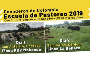 Las escuelas de pastoreo constituyen una de las actividades más importantes que realiza Cultura Empresarial Ganadera al menos 3 veces al año. Foto: @culturaempresarialganadera PRV Makondo, La Belleza, El Tequendama, Escuela de pastoreo 2019, capacitación a ganaderos, capacitación agropecuaria, ganadería regenerativa, pastoreo racional, Escuelas de Campo, escuelas de pastoreo, cultura empresarial ganadera, Michael Rúa Franco, escuelas de pastoreo en colombia, leyes voisin, ganadería ecológica, Ganadería Sostenible, CONtexto ganadero, ganadería colombia, ganaderos Colombia