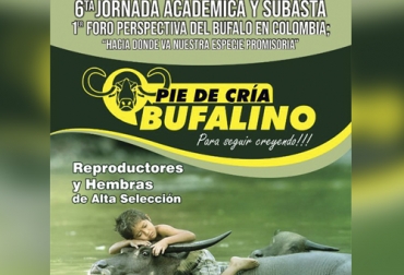 El zootecnista y juez de búfalos Ómar Ruiz ha organizado 5 versiones de este evento de forma consecutiva, logrando una amplia convocatoria. Foto: Cortesía Ganadería Bufalina en Colombia, Jornada Académica Pie de Cría Bufalino, búfalos en Colombia, Razas de búfalos en Colombia, Historia de los búfalos en Colombia, raza buffalypso en Colombia, raza Murrah en Colombia, raza Mediterránea en Colombia, alta producción lechera de búfalos, producción búfalos Colombia, carne búfalo, CONtexto ganadero, ganaderos colombia, noticias ganaderas Colombia