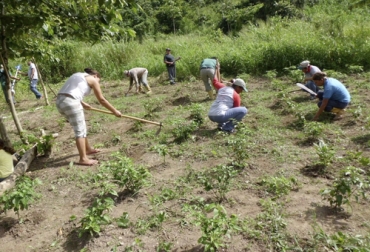 En La Mojana, el Ministerio de Agricultura por intermedio de Agrosavia, está realizando un proyecto piloto que consiste en la siembra de 10 hectáreas de maíz para recolectar silo. Foto: sucrecomunicaciones.com Ganadería, ganadería colombia, Ganadería colombiana, CONtexto ganadero, noticias ganaderas, noticias ganaderas colombia, La Mojana, verano en la mojana, programa siembra la mojana, proyecto siembra maiz la mojana, productores la mojana, siembra maiz la mojana, ganaderos, ganaderos colombia
