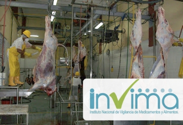 El departamento ya tiene 14 plantas de beneficio animal nacionales y de autoconsumo, para proveer de alimentos cárnicos a la población. Foto: invima.gov.co - villanueva24h.blogspot.com ganadería, ganadería colombia, noticias ganaderas, noticias ganaderas colombia, contexto ganadero, plantas de beneficio, plantas de beneficio animal, Decreto 1500 de 2007, Instituto Nacional de Vigilancia de Medicamentos y Alimentos, Invima, Mesa Departamental de Plantas de Beneficio Animal, secretario de Agricultura de Santander, Javier Sarmiento Estupiñán, Plan de Racionalización de Plantas de Beneficio Animal, expendios de carne,