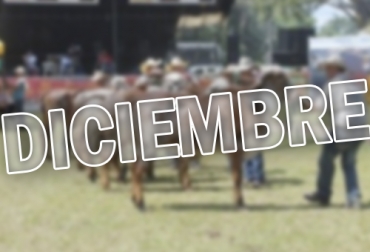 Conozca los eventos ganaderos que se van a realizar en el mes de diciembre en Colombia. Foto: Contextoganadero.com. ferias ganaderas diciembre 2019, eventos ganaderos diciembre 2019, encuentros ganaderos diciembre 2019, feria ganadera de yopal, expo lácteos, expo sabana 2019