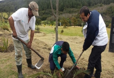 La actividad se adelantará en 26 municipios del departamento. Foto: Corponariño. Ganadería, ganadería colombia, noticias ganaderas, noticias ganaderas colombia, CONtexto ganadero, deforestación, deforestación nariño, tasa de deforestación nariño, Nariño reverdece siembra futuro, Secretaría de Ambiente y Desarrollo Sostenible de la Gobernación de Nariño, Plan Integral de Gestión del Cambio Climático Territorial, Nariño Actúa Por el Clima, Programa de las Naciones Unidas para el Desarrollo, Corponariño