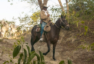 La implementación de la tecnología es clave para potenciar el negocio en el sector agropecuario, según los organizadores de Agroshow. Foto: Cortesía Tecnología campo Colombia, Sector rural, ruralidad Colombia Innovación del campo, innovación sector agropecuario, Agroshow 2020, Agroshow Pajonales, Agroshow Pajonales 2020, noticias Agroshow Pajonales, Agroshow Pajonales cifras, Agroshow Pajonales colombia, CONtexto ganadero, ganaderos colombia, noticias ganaderas colombia
